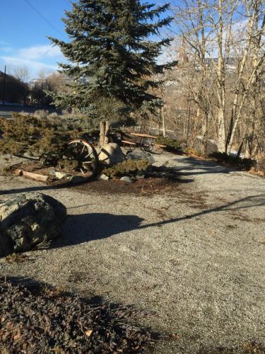 a pine tree sitting next to a picnic table at Riverside Motel Cache Creek in Cache Creek