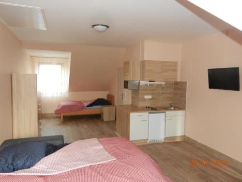 1 dormitorio con 1 cama y cocina con TV en Penzion AMÁLKA Černín, en Zdice