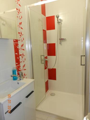 y baño con ducha y lavamanos. en Penzion AMÁLKA Černín, en Zdice