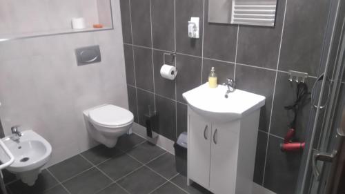 a small bathroom with a toilet and a sink at Wanta z pyszną karczmą in Bukowina Tatrzańska