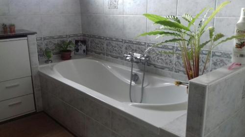 a bath tub with a plant in a bathroom at Les hauteurs de Collioure in Collioure