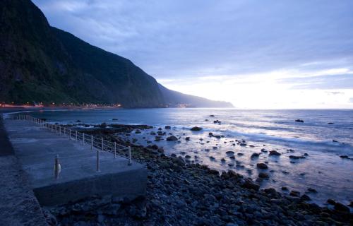 a group of birds standing on a beach near the water at Estalagem do Mar in São Vicente