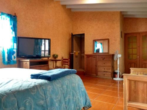 迪坡斯特蘭的住宿－奧尼拉斯酒店，一间卧室配有一张床和一台平面电视