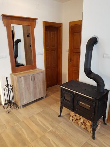 a black wood stove in a room with a mirror at Vila ANA in Divčibare