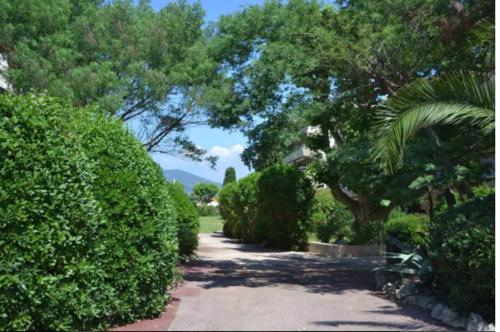 a walkway through a garden with bushes and trees at Eden in Saint-Tropez