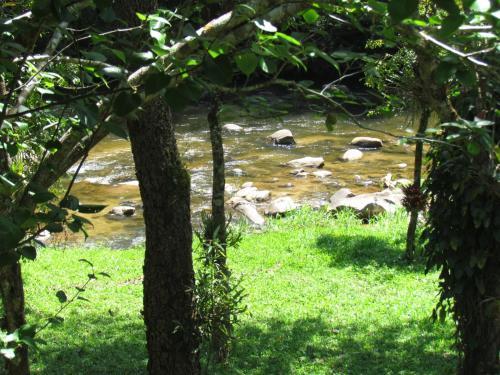 a river with rocks in the grass near trees at Eco Chalés Águas Claras in Lumiar