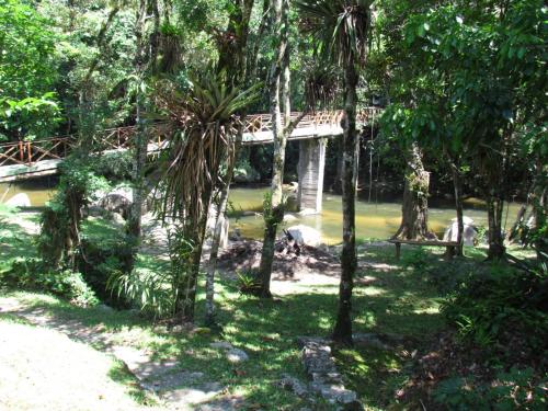 a bridge in the middle of a forest with trees at Eco Chalés Águas Claras in Lumiar