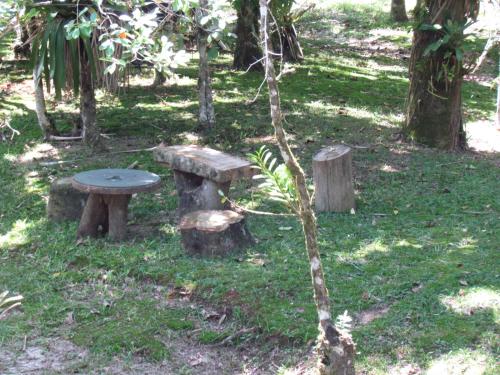a park with a bench and a tree stump at Eco Chalés Águas Claras in Lumiar