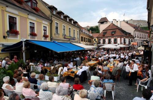 a crowd of people walking down a street at Hotel Senator-Ház Eger in Eger