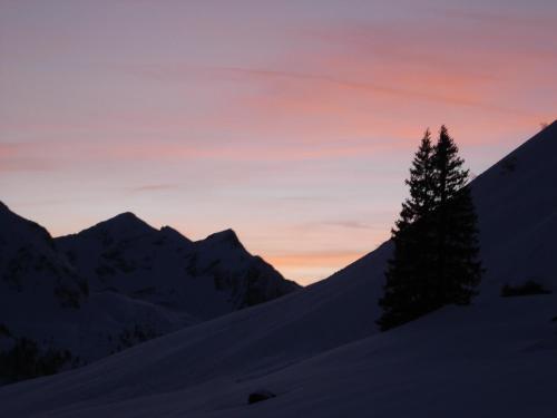 a tree on a snow covered mountain at sunset at Welcome-Bienvenue-Добро пожаловать in Flachau