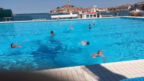 een groep mensen die zwemmen in een zwembad bij Apartments Šorić in Rovinj