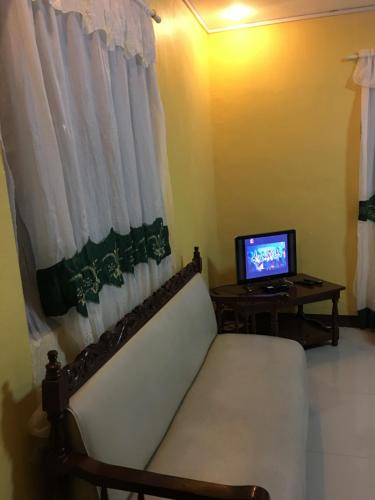 TV a/nebo společenská místnost v ubytování Pines Mansion