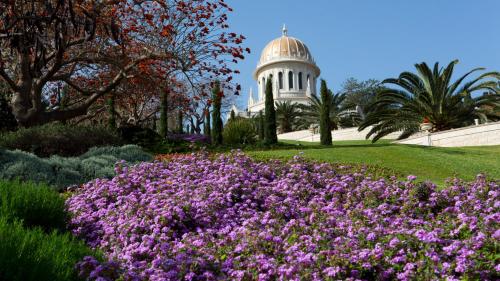 Zahrada ubytování Nof Hotel