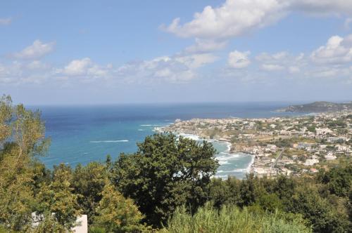 Gallery image of Sweetposeidon in Ischia