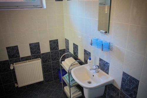 a bathroom with a sink and a mirror at Ubytovani Nikol in Brno