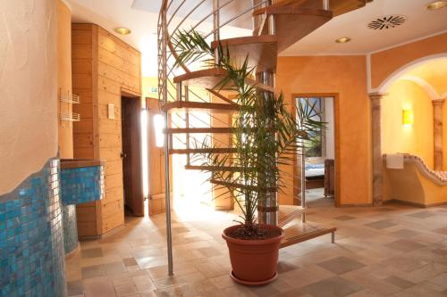 a potted plant in a hallway with a staircase at Stadler Hof in Großgundertshausen