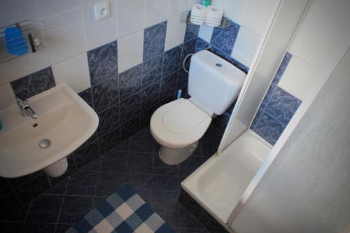 a bathroom with a toilet and a sink at Ubytovani Nikol in Brno