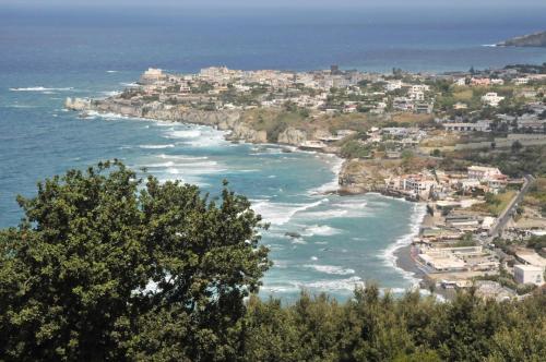 Gallery image of Sweetposeidon in Ischia