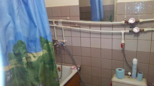 ズラトウーストにあるПроспект Гагарина,восьмая линия,15のバスルーム(トイレ、鏡付)