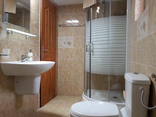 a bathroom with a toilet and a sink and a shower at Green Eden Lepsa 2 in Lepşa