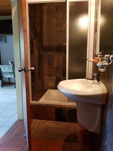a bathroom with a sink and a shower at Crocodile Lodge cc in Midrand