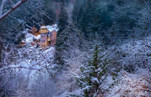 a house in the middle of a snow covered forest at Horlog Castle in Trigrad