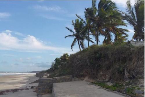 a sandy beach with palm trees and the ocean at A 2 passos do paraíso in Rio Tinto