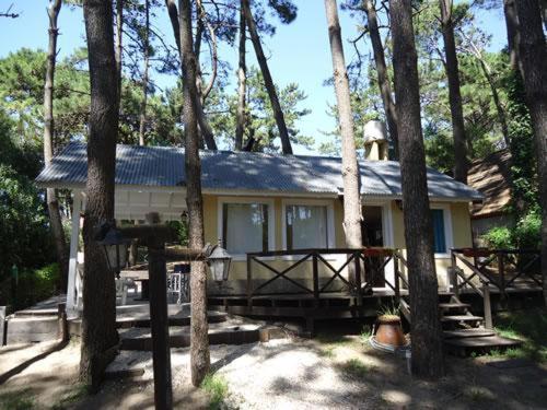 una casa con muchos árboles frente a ella en casa mandarina en Mar de las Pampas
