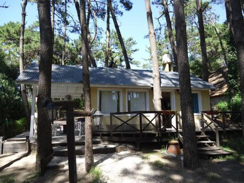 una casa con muchos árboles delante de ella en casa mandarina en Mar de las Pampas