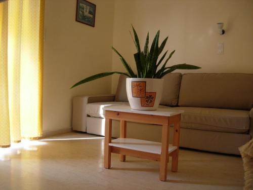 a potted plant sitting on a table in a living room at Philippos Studios & Apartments in Kardamaina