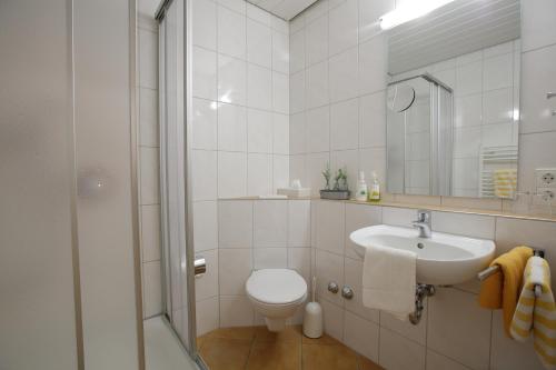 ein Bad mit einem WC, einem Waschbecken und einer Dusche in der Unterkunft Hotel-Restaurant Gasthof Adler in Neuenburg am Rhein