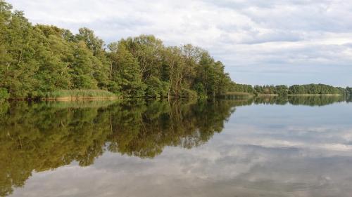 Gallery image of Ferienhaus Zum See in Perlin