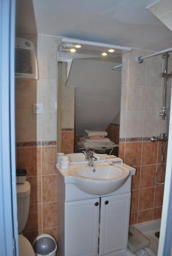 une salle de bain avec un lavabo, des toilettes et un miroir dans l'établissement le pitchounet, à Arles