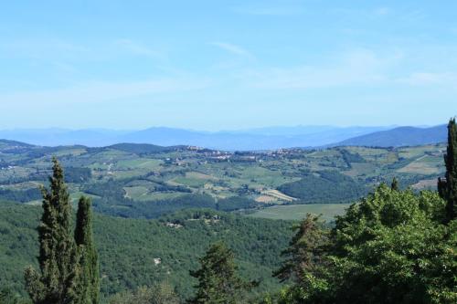 a view of a valley with trees in the foreground at Villa Sant’Uberto Country Inn in Radda in Chianti