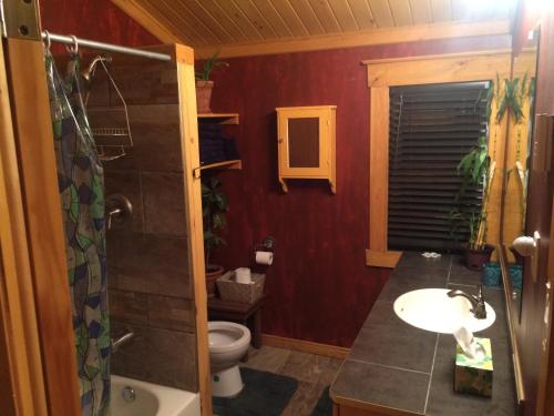 a bathroom with a sink and a shower and a toilet at Maison Bleue in Sainte-Anne-des-Monts