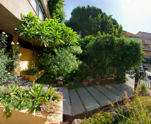 a garden with plants and trees and a building at Lirma B&B in Cefalù