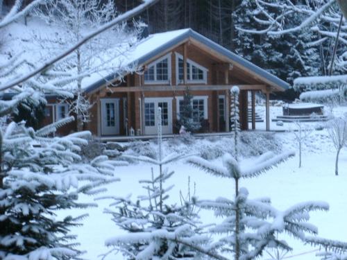a log cabin in the woods in the snow at Gasthof Bischofsmühle in Helmbrechts