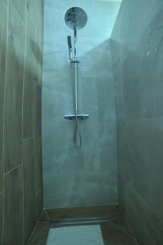 a shower with a shower head in a bathroom at Apartmani Milosevic in Bijeljina