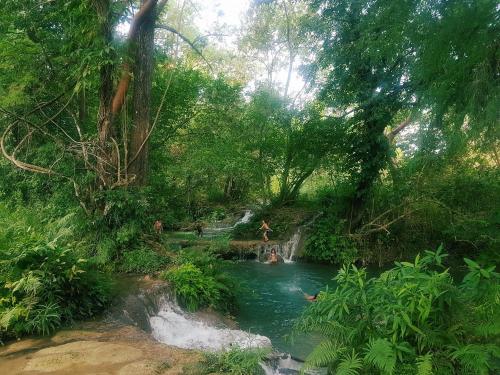 a river in a forest with people swimming in it at Cabañas Mannan in Tanchachín