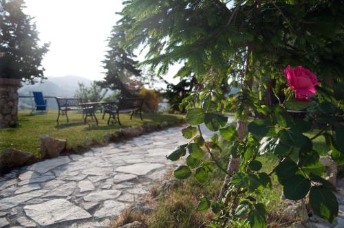 a pink rose on a tree next to a stone path at Agriturismo Villa Felice in Volterra