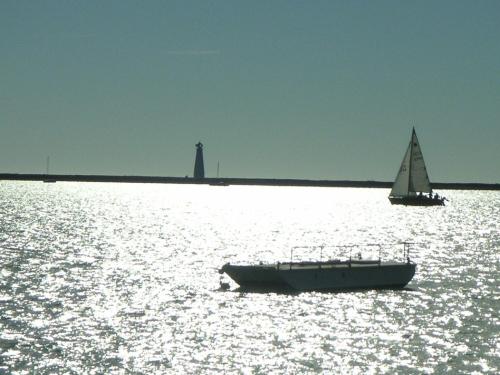 a small boat in a large body of water at Tudor Lodge Motel in Nelson
