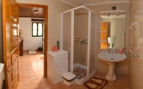 a bathroom with a shower and a sink at Casa Ferreira in Góis