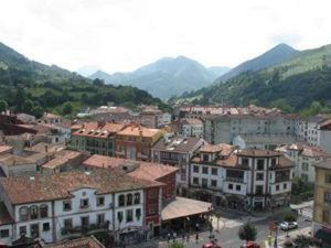 a group of buildings in a town with mountains at Hotel & Spa Villa de Mestas in Cangas de Onís
