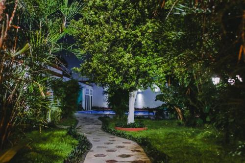 a painting of a tree in the middle of a sidewalk at Hotel Colon Merida in Mérida