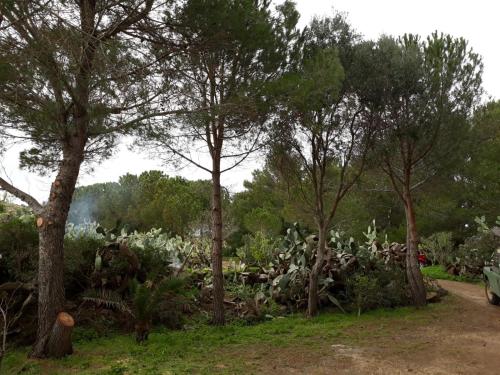 Afbeelding uit fotogalerij van Casa Nicoletta in Ustica