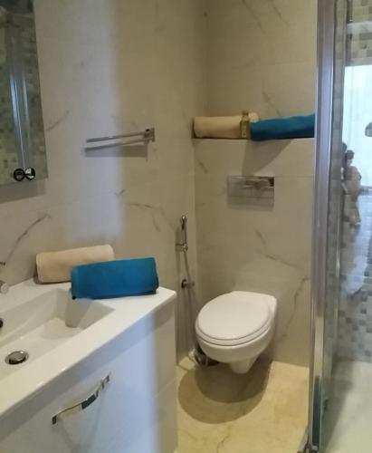 a bathroom with a toilet and a sink and a shower at Appart Aga Hivernage in Agadir