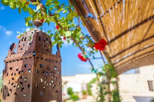 Fotografie z fotogalerie ubytování Agriturismo Li Calizzi Arte e Natura v destinaci Novoli