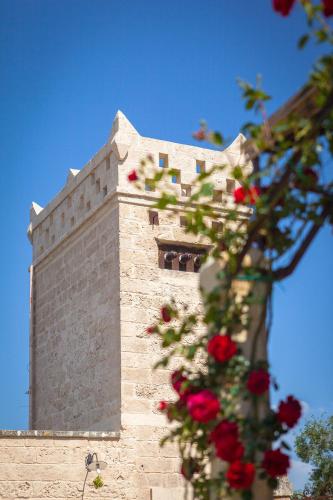 Fotografie z fotogalerie ubytování Agriturismo Li Calizzi Arte e Natura v destinaci Novoli