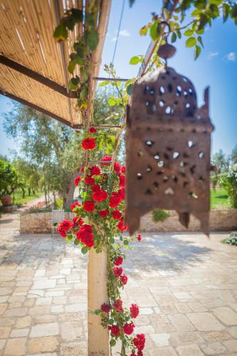 Fotografie z fotogalerie ubytování Agriturismo Li Calizzi Arte e Natura v destinaci Novoli