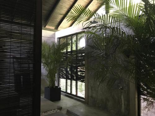a room with two potted plants next to a window at KAJU GREEN eco lodges in Unawatuna